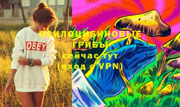 прущие крисы Арсеньев