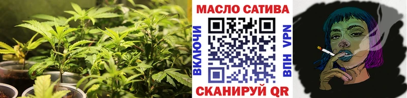 ТГК концентрат Павловский Посад